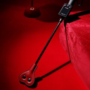 EMS Electric Spanking Hand Paddle