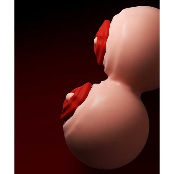 Wireless Pouty Lips Nipple Clamps & Breast Massager - Image 7