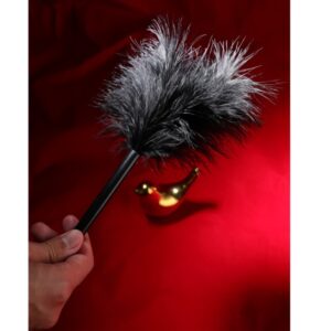 Teasing with a feather tickler for SM flirting