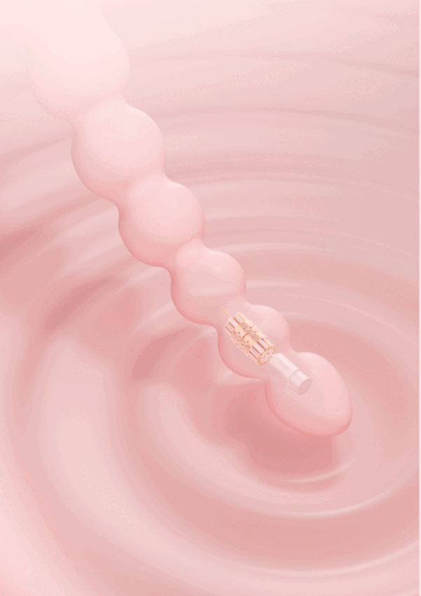 Anal Beads for Dual Pleasure - Vaginal & Anal Training - Image 2