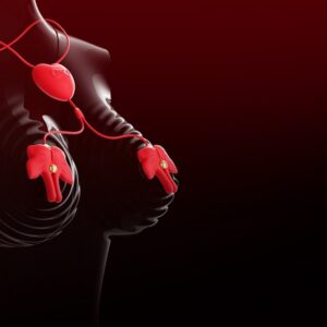 Butterfly Sucking Vibrating Nipple Clamps