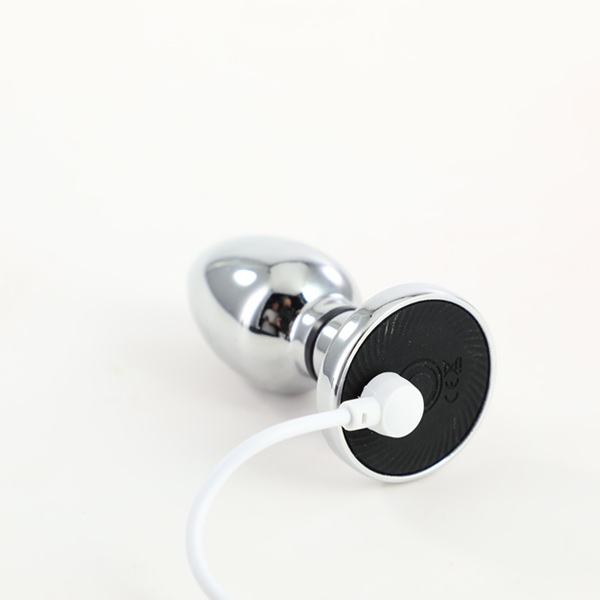 Metal Electric Shock Anal Plug (Backdoor Training) - Image 8