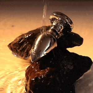 Metal Electric Shock Anal Plug (Backdoor Training)